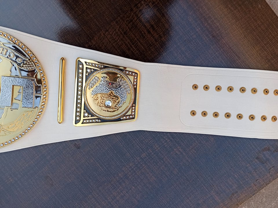 Custom championship titles (Premium series) - Moc Belts 