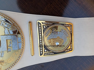 Custom championship titles (Premium series) - Moc Belts 