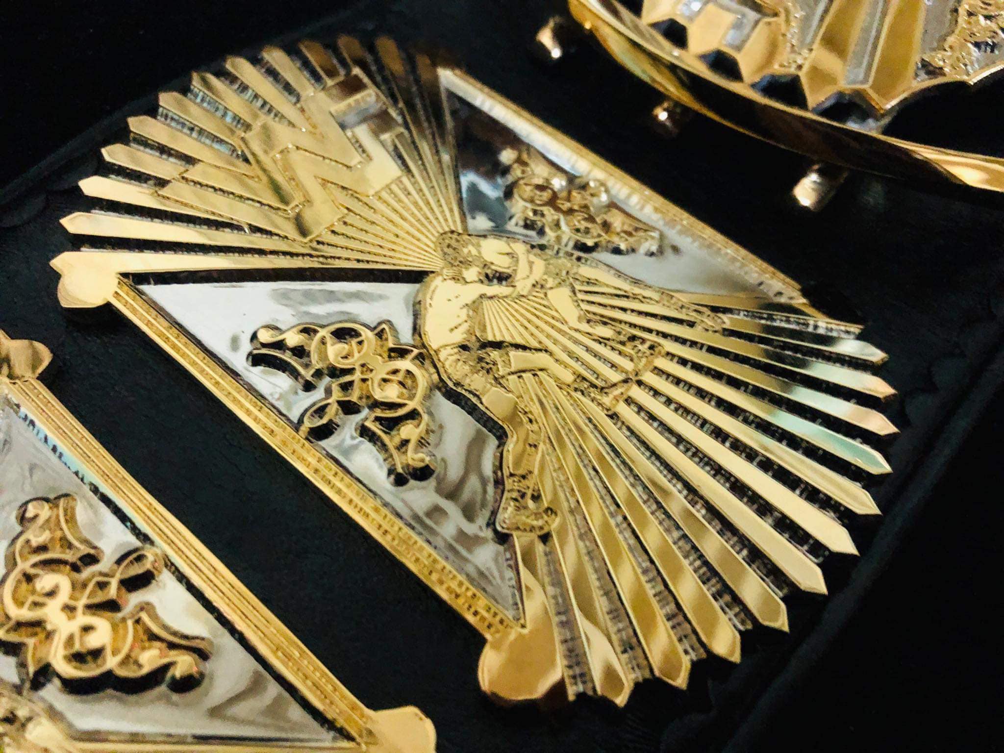 Winged eagle textured belt (Premium 24 karate gold) - Moc Belts 