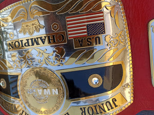 NWA Junior heavyweight title (economy version) - Moc Belts 